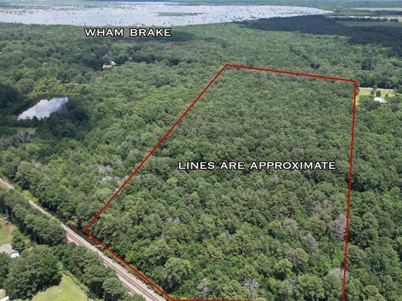 Wooded Homesite in Monroe Louisiana : Monroe : Ouachita Parish : Louisiana