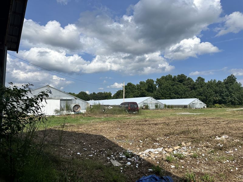 4 House Poultry Farm : Bennettsville : Marlboro County : South Carolina