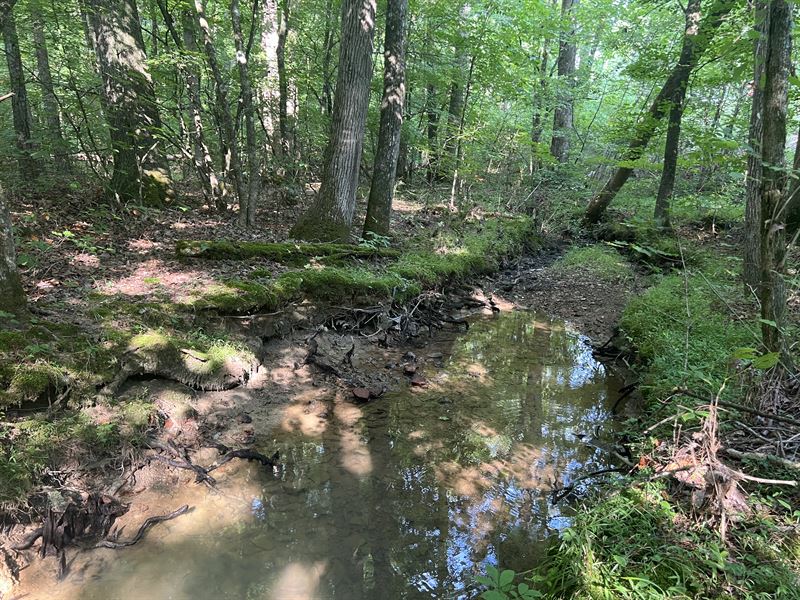 7.895+/- Acres Gordon County : Ranger : Gordon County : Georgia