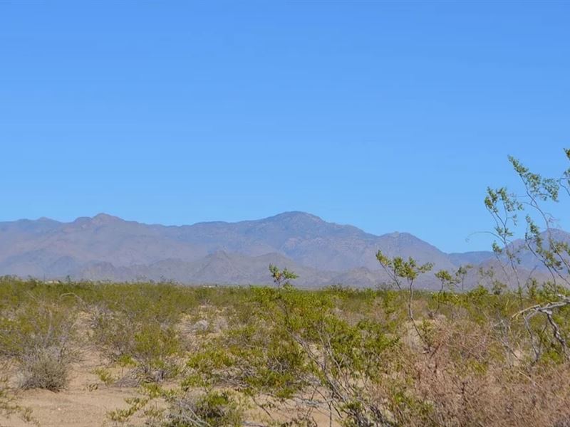 Your Chance for AZ Land Ownership : Yucca : Mohave County : Arizona