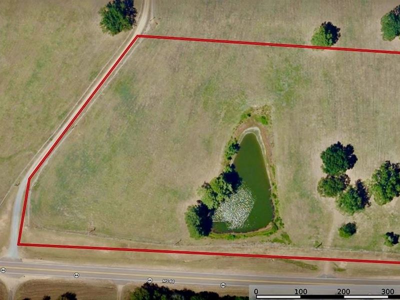 Land for Sale Sw Mississippi 9.5 Ac : Summit : Pike County : Mississippi