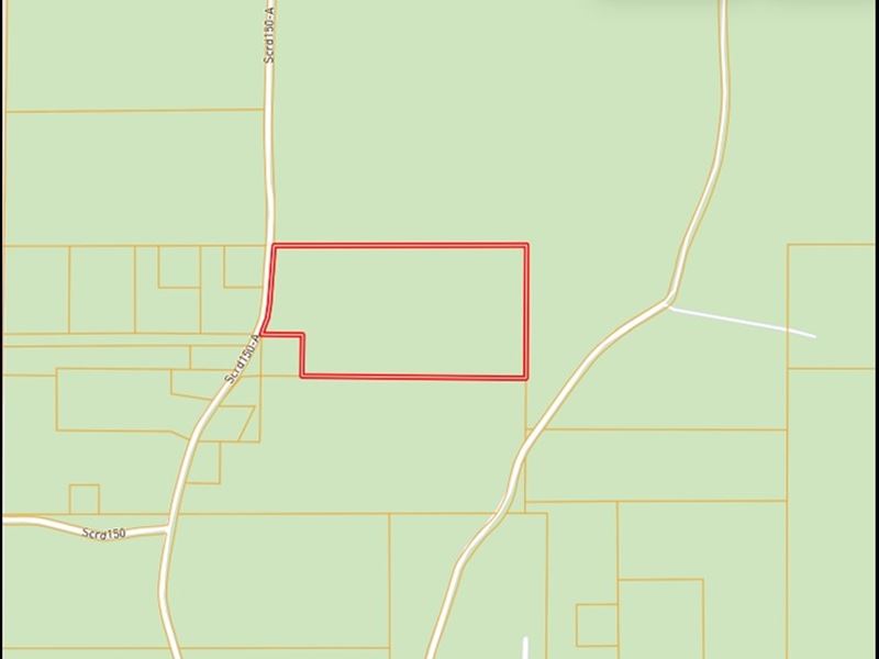 19 Acres in Smith County in Polkvil : Polkville : Smith County : Mississippi