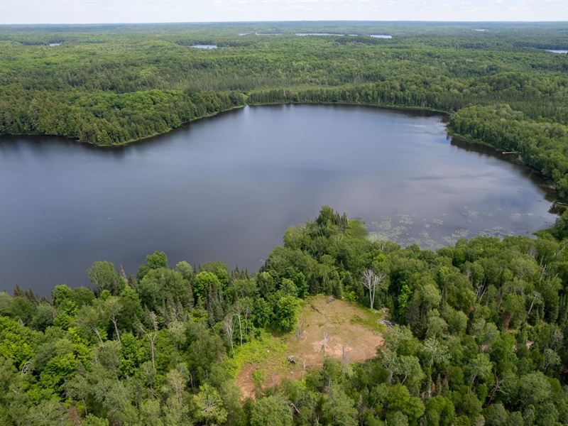 Large Dunn Lake Parcel : Presque Isle : Vilas County : Wisconsin