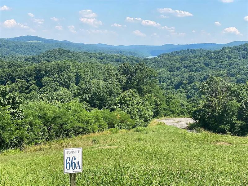 Dale Hollow Lakeview Lot : Celina : Clay County : Tennessee