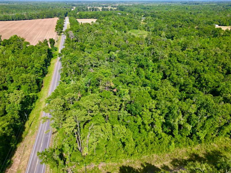 Build on 2.5 Acres in Hamilton Coun : Jennings : Hamilton County : Florida