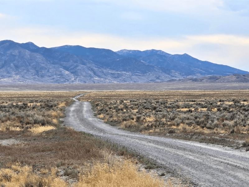 A Playground of Natural Wonders : Montello : Elko County : Nevada