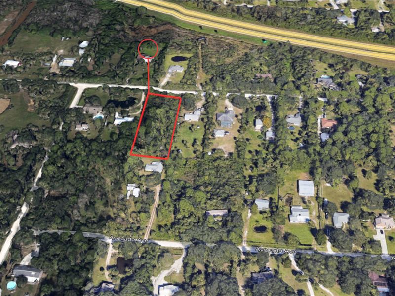 1 Acre Prime Location for Adventure : Cocoa : Brevard County : Florida