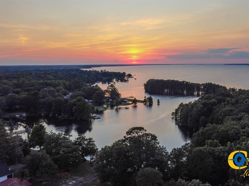 Eutawville Lake Lot : Eutawville : Orangeburg County : South Carolina