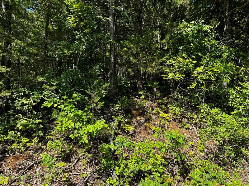 .4 Acre Lot, Cherokee Village : Cherokee Village : Sharp County : Arkansas