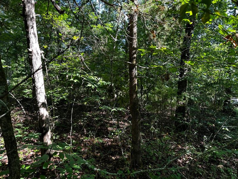 Lot in Cherokee Village, Arkansas : Cherokee Village : Sharp County : Arkansas