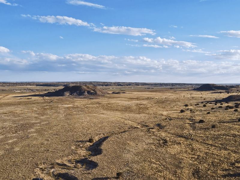 Great Place for Campfires : Chambers : Apache County : Arizona