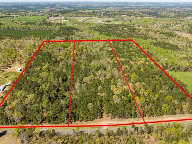 12 Acres of Wooded Land in Forsyth : Macon : Monroe County : Georgia