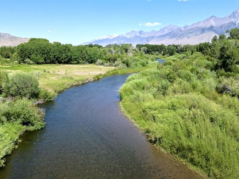 Big Lost River Lot : Mackay : Custer County : Idaho