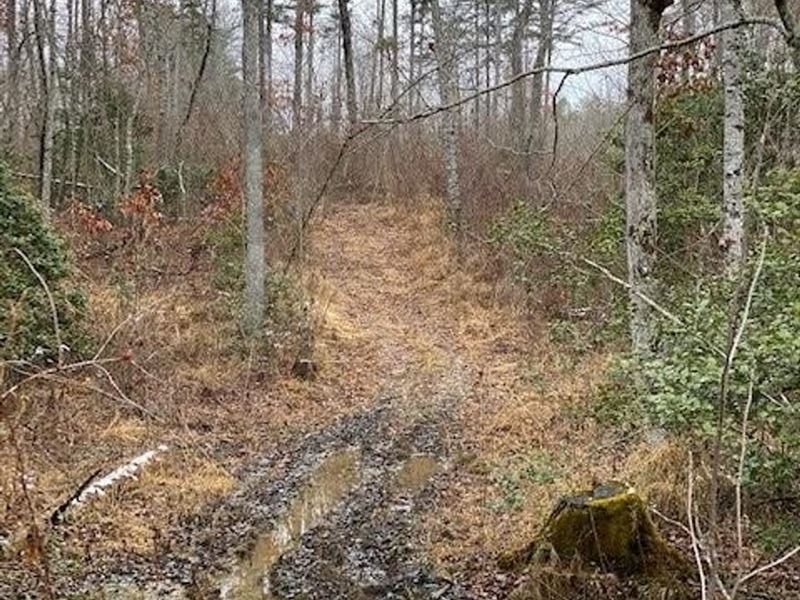 5 Acres Unrestricted Near Salvage : Gruetli Laager : Grundy County : Tennessee