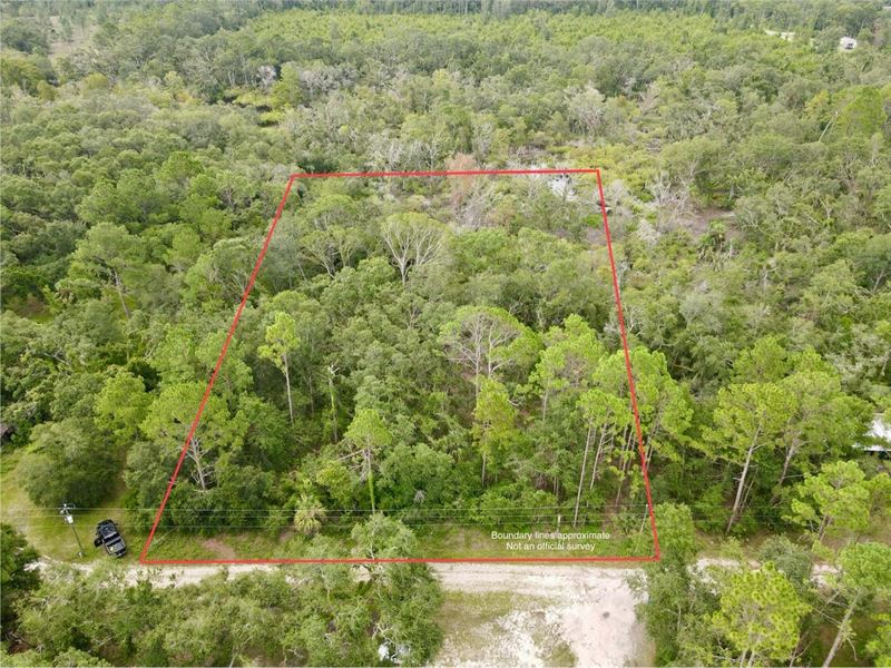 Kays Road 2.5 Acres : Perry : Taylor County : Florida