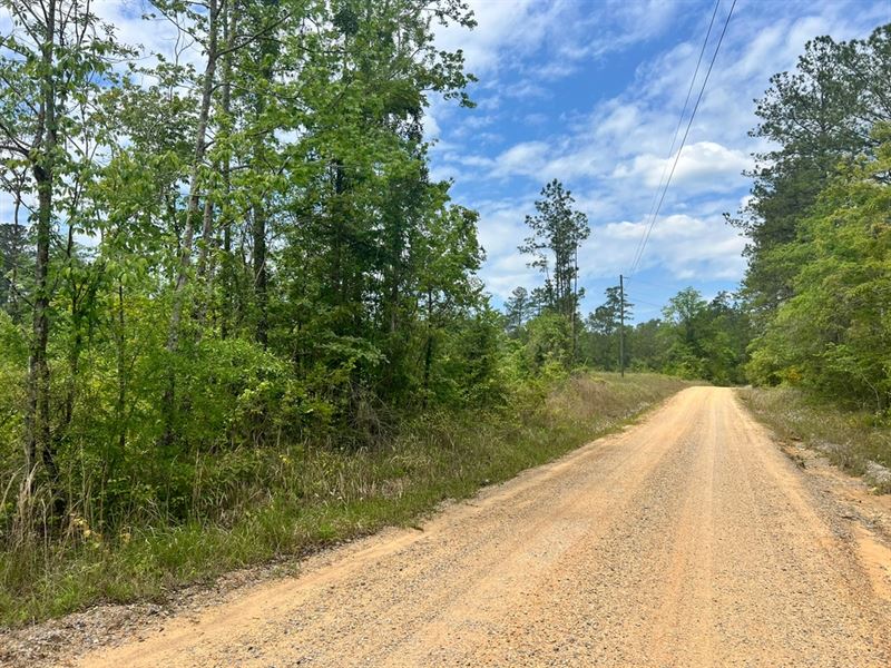 12 Acres in Waynesboro in Wayne Cou : Waynesboro : Wayne County : Mississippi