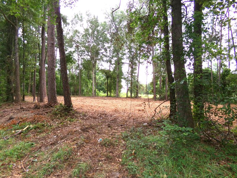 Beautiful 1 Acre Lot in The Country : Swainsboro : Emanuel County : Georgia