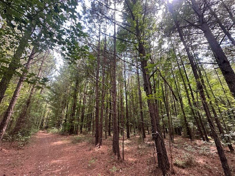 The St Marys Tract : Crawfordville : Taliaferro County : Georgia