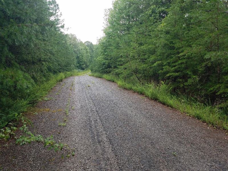 4 Lots Could be up to 5.98 Acres : Spencer : Van Buren County : Tennessee