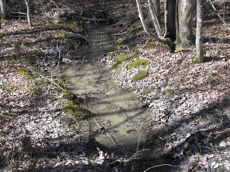 Creek, Woods, Private : Spencer : Van Buren County : Tennessee