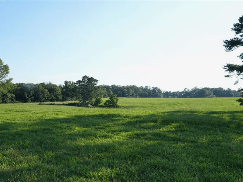 Mississippi Land for Sale 7 Acre MI : Summit : Pike County : Mississippi