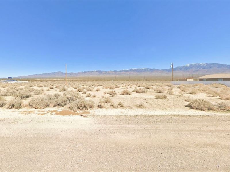 Escape The City : Pahrump : Nye County : Nevada