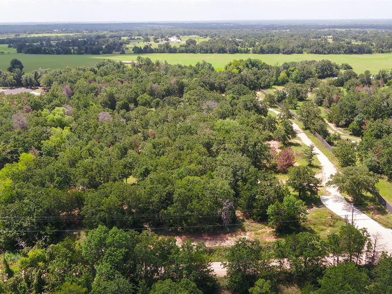 10 Acres in Milam County : Rockdale : Milam County : Texas