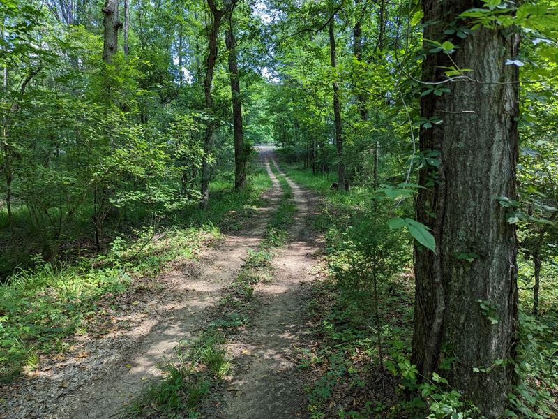 3 Acre Homesite : Hope Hull : Montgomery County : Alabama