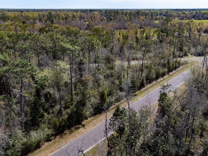 5 Ac Homesite in Wewahitchka FL : Wewahitchka : Gulf County : Florida