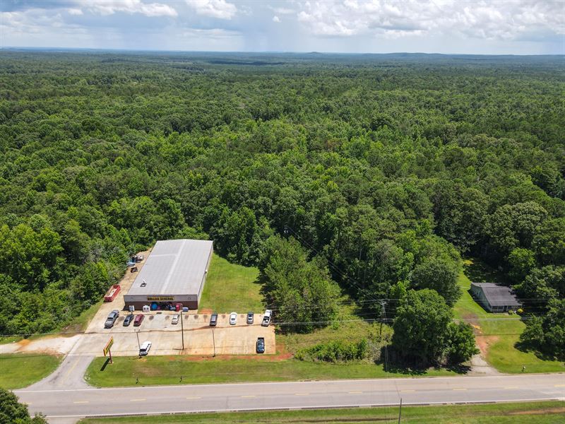 .52 Acres on Hwy 29 in Lee Co : Cusseta : Lee County : Alabama