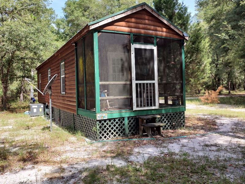 Near Advent Christian Village : Live Oak : Suwannee County : Florida