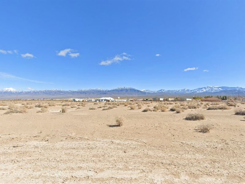 Nature's Canvas for $402.21 Down : Pahrump : Nye County : Nevada