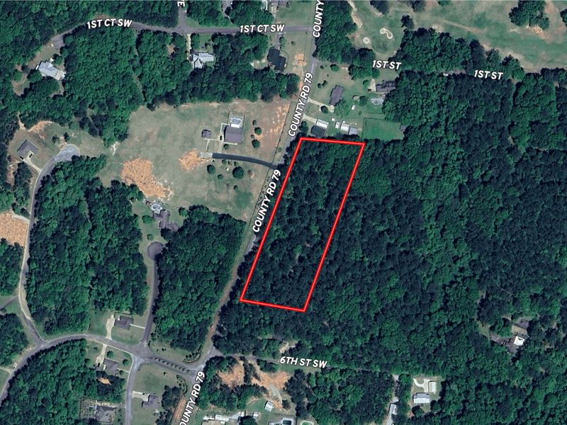 4.5 Ac in Lanett, AL : Lanett : Chambers County : Alabama