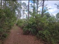 Your 5 Properties in Crescent City : Crescent City : Putnam County : Florida