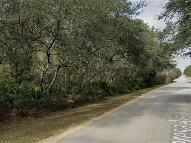 821 Theresa Ave on a Paved Road : Interlachen : Putnam County : Florida