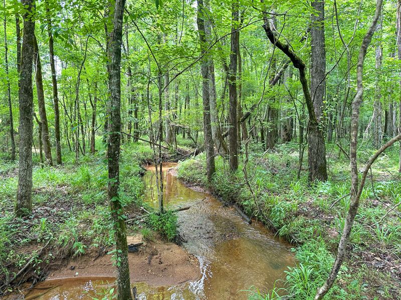 8.54 Acres, Lot 4 Hawks Landing : Auburn : Lee County : Alabama