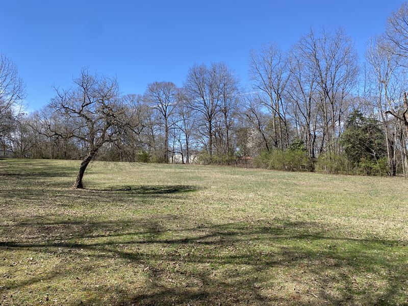 Investment Opportunity Near I-85 : Wellford : Spartanburg County : South Carolina