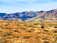 Land for Building, Camping, or RV : Rio Rico : Santa Cruz County : Arizona