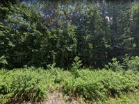 Wooded Lot for Getaway or Building : Carrollton : Carroll County : Georgia