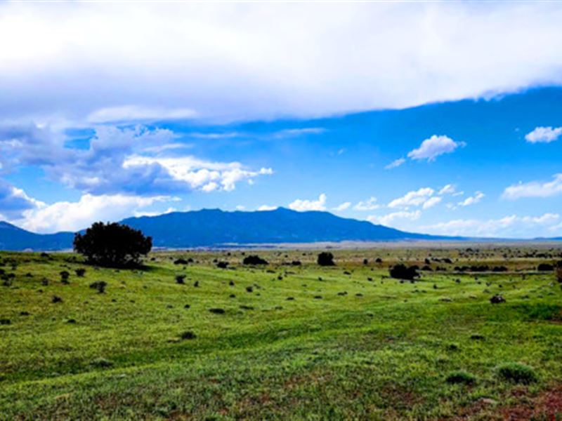 RV or Build, Walsenburg, CO : Walsenburg : Huerfano County : Colorado