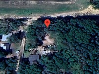 Cowpen Lake Rd Lot on a Dirt Rd : Interlachen : Putnam County : Florida