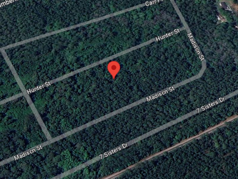 Hunter St Lot on a Sloped Land : Interlachen : Putnam County : Florida