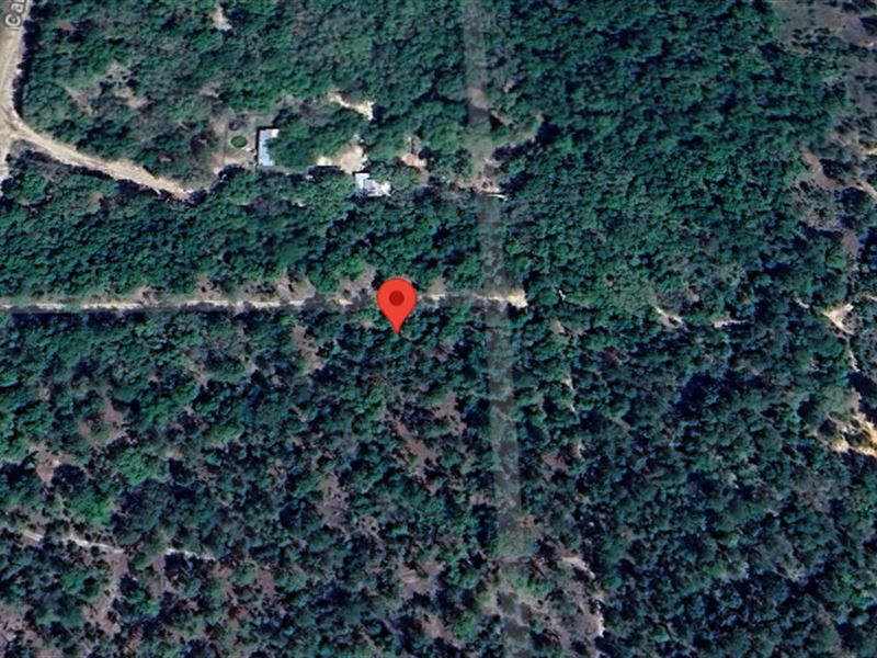 Carrie Way Lot on a Gravel Road : Interlachen : Putnam County : Florida