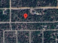 368 SE 10th St Lot Near Erie Avenue : Interlachen : Putnam County : Florida
