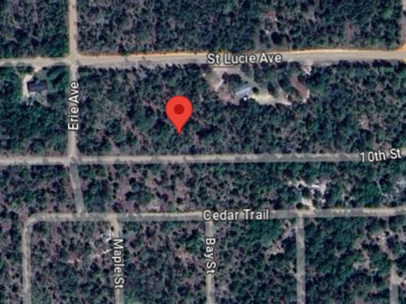 SE 10th St Lot Near Erie Avenue : Interlachen : Putnam County : Florida