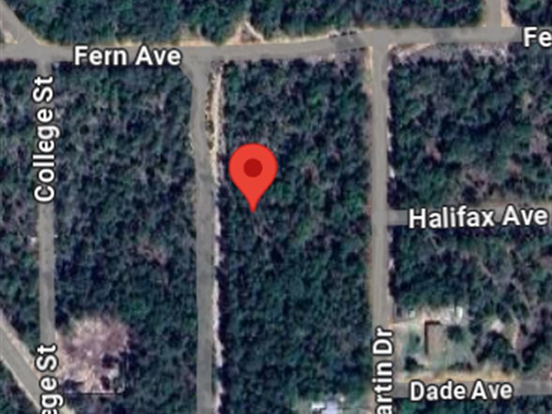 Lot on Citrus St Near Fern Ave : Interlachen : Putnam County : Florida