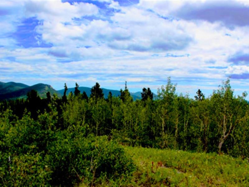 Secluded Mountain Getaway : Black Hawk : Gilpin County : Colorado