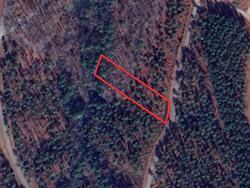 1 Acre of Residential Land for Sale : Macon : Warren County : North Carolina