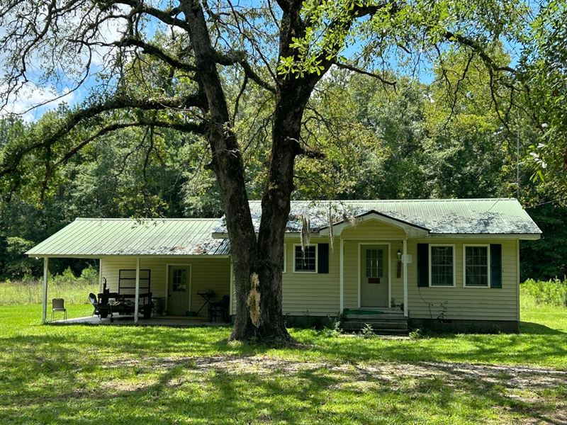 13.2 Acres with A Home in Jasper Co : Rose Hill : Jasper County : Mississippi