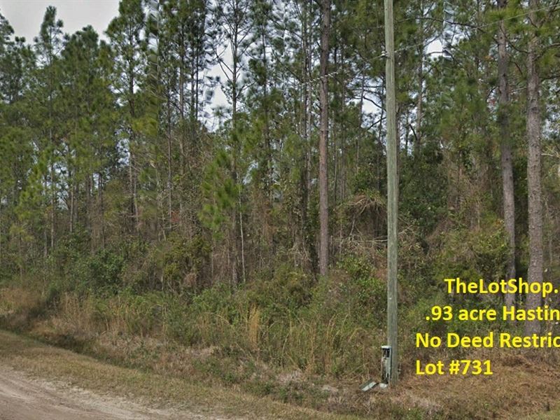 Corner Lot in St. Johns : Hastings : Saint Johns County : Florida